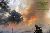 Incendio nel Nuorese, 700 ettari in fumo