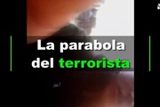 La parabola italiana del terrorista Amri
