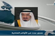 Retata di principi in Arabia Saudita