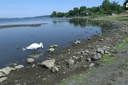 Sos lago di Bracciano, 1,40 metri sotto la soglia