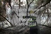 Il fuoco di un anno in una settimana