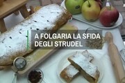 Primo Strudel Cup, vince dolce che evoca foreste del Trentino