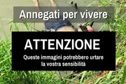 Padre e figlia annegati al confine Messico-Usa