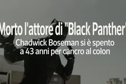 Morto l'attore di 'Black Panther'