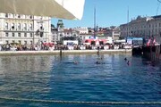 Trieste, tuffatori dalle grandi altezze arrivati da tutto il mondo per il Cliff Diving