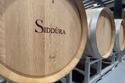 Nei vini di Siddùra il racconto di un intero territorio