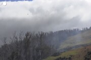 Incendi alle Hawaii, a fuoco le foreste: elicotteri in azione per domare le fiamme