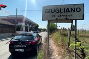 Irruzione dei carabinieri in una villa, latitante 'tradito' da un cagnolino