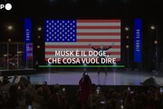 VIDEOGRAFICA - Musk è il doge, cosa vuol dire