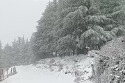 Prima neve sui monti della Sardegna, 10 cm a 1500 metri, video di Tore Moro