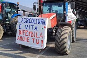 Agricoltori, corteo di 400 trattori per il raduno regionale a Padova