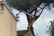 Oristano, cadono da una piattaforma mentre potavano un albero