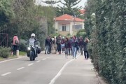 Sanremo, arriva la mucca Ercolina per dire no alle leggi Ue