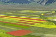 Castelluccio di Norcia, lo spettacolo dei colori della fioritura