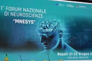 'Con Pnrr ricerca italiana su neuroscienze punta a impatto globale'