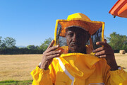 Ex rifugiato politico si riscatta con le api e il miele