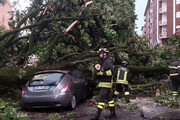 Maltempo a Torino, alberi caduti sulle macchine