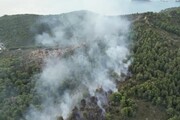 Vasto incendio boschivo a Baia San Felice a Vieste, sul Gargano
