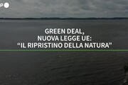 Green deal, nuova legge Ue: 'Il ripristino della natura'