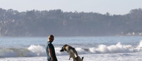 Un uomo gioca con il suo cane a Stinson Beach, in California