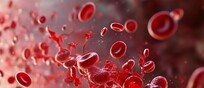 I megacariociti&nbsp;formano le piastrine necessarie per la coagulazione del sangue (fonte: Pixabay)