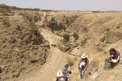 La Rift Valley ad Asela, in Etiopia (fonte: Università di Firenze - Cnr-Igg)