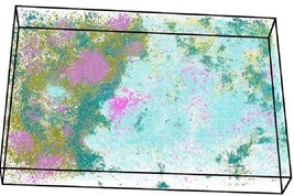 Esempio di mappa 3D di un tessuto ottenuta nel progetto Open-St. I colori indicano l'espressione dei geni (fonte: N. Rajewsky Lab, Max Delbrück Center)