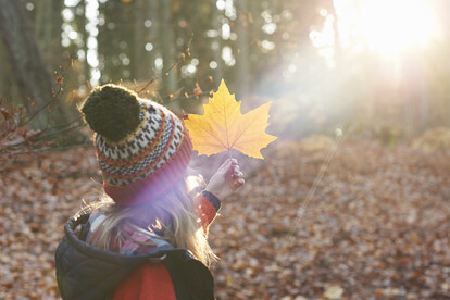 Young girl holding up a leaf to examine it in a beam of Autumnal sunlight