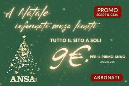 Natale promo Ansa