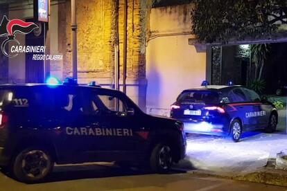 Sette Arresti In Operazione Antidroga In Calabria - Notizie - Ansa.it