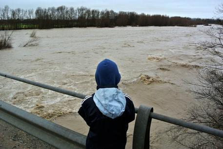 Maltempo in Friuli, ora i fiumi fanno paura: Noncello e Meduna crescono, in  città chiusi parcheggi e strade. Lo spettro dell'alluvione