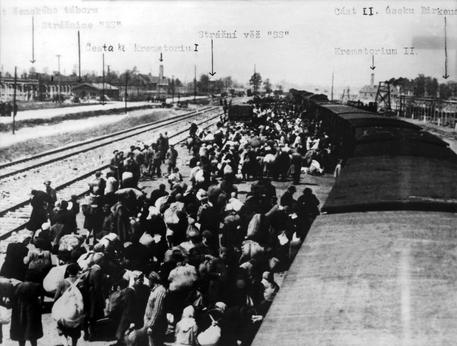 Ebrei deportati dall'Ungheria verso Auschwitz © ANSA 