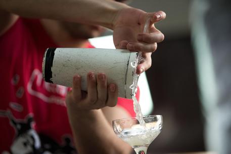 Barman (foto d'archivio) © ANSA