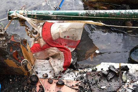 MALTEMPO: LIGURIA DEVASTATA, DISTRUZIONE NEI PORTI TURISTICI © ANSA