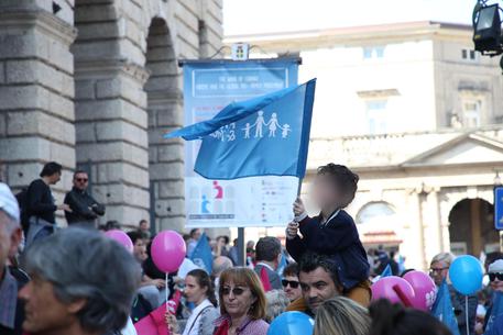 Il corteo pro-famiglie, a Verona © ANSA