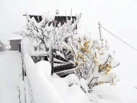 Neve sulle Dolomiti, pioggia su resto del Veneto © ANSA