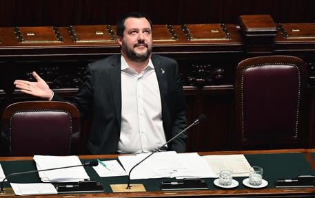 Matteo Salvini © ANSA