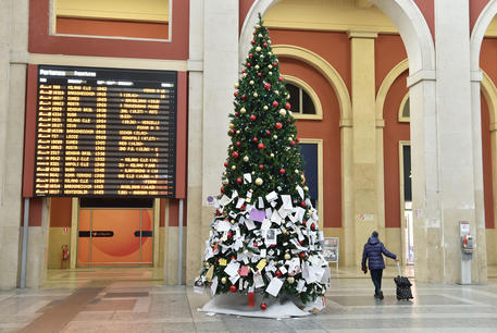 Immagini Di Bambini Di Natale.Torino Le Foto Dei Bambini Tolti Alle Famiglie Sull Albero Di Natale Fdi Sistema Bibbiano Ha Radici Profonde In Piemonte Cronaca Ansa