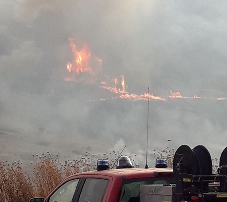 Incendi Grosso Rogo Tra Palermo E Agrigento Ingenti Danni Sicilia Ansa It