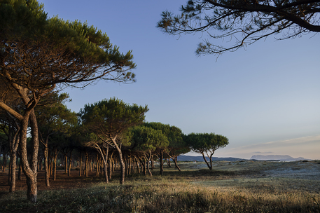 A Budoni parte la stagione turistica slow - Sardegna - ANSA.it