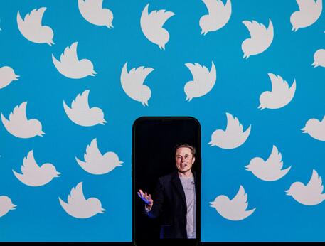 Elon Musk e il simbolo di Twitter © AFP