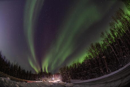 Luci dal Nord illuminano il cielo sopra Fairbanks, Alaska © EPA