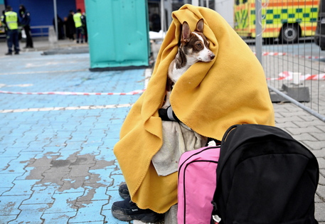 Ukrainian refugees at the train station in Przemysl © ANSA