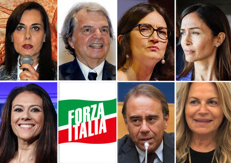 Carfagna Lascia Il Gruppo Di Forza Italia Passa Al Misto Politica Ansa