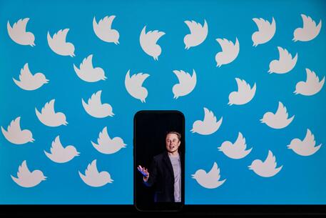 Media, Musk è sotto inchiesta federale per Twitter © AFP