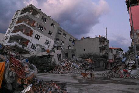 Terremoto del 6 febbraio in Turchia © AFP
