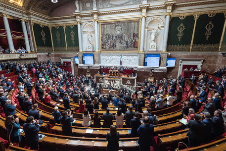 Francia, libertà garantita alla donna di ricorrere all'aborto