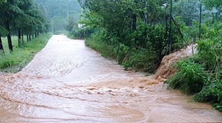 Maltempo: Nubifragio Nel Cosentino, Allagamenti E Disagi - Cronaca - ANSA