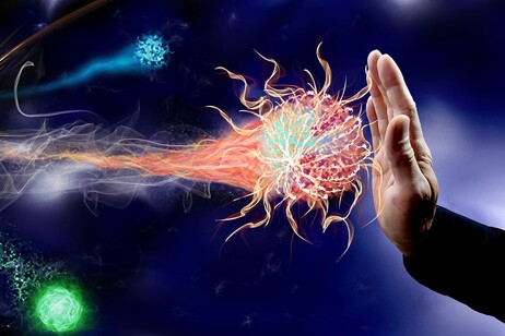 Una molecola potrebbe ringiovanire il sistema immunitario degli anziani (fonte: Needpix)