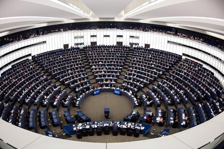 Nel futuro Parlamento europeo ci sono oltre 50 deputati tra i nuovi partiti